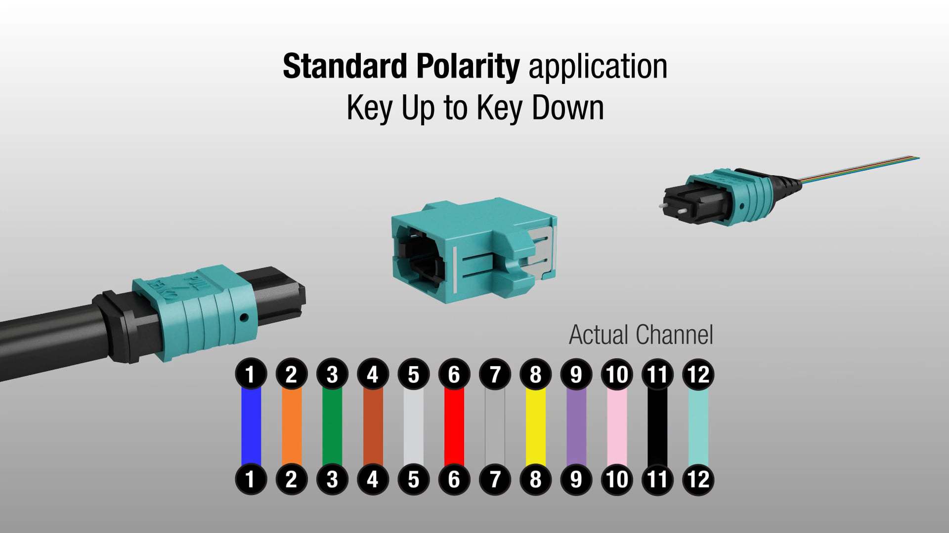 MPO Plus Polarity Changeable Adapter » SENKO Advanced Components, Inc.
