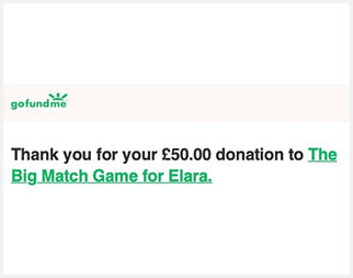 The-Big-Match-Game-for-Elara-donation-sq