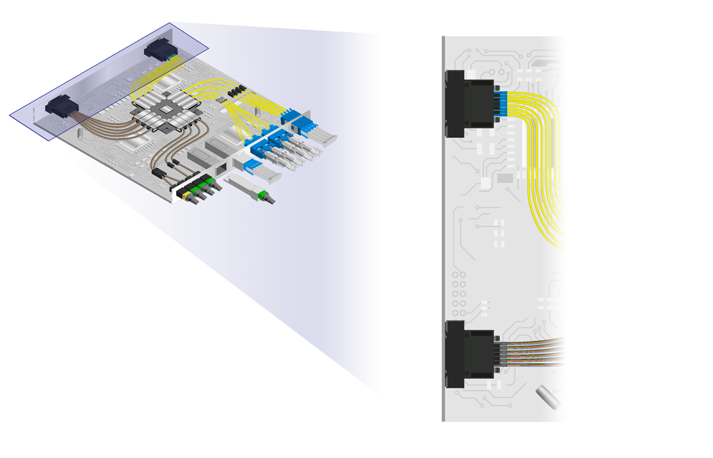 SK_OBOboard_Mag_Back_01