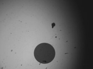 200X-images-1