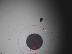 200X-images-2
