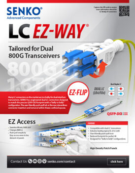 CS and SN EZ-Flip_handout
