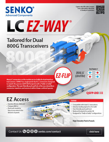 CS and SN EZ-Flip_handout