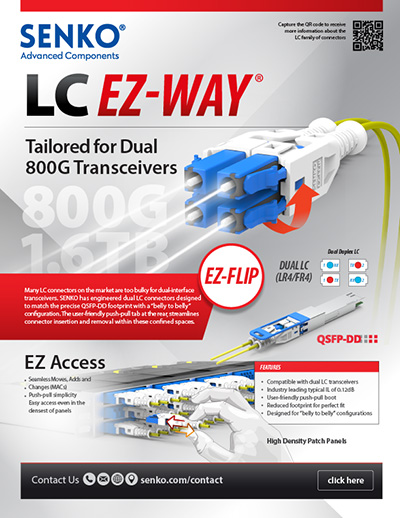 CS and SN EZ-Flip_handout