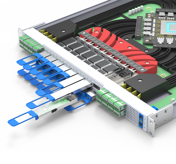 ELSFP OBI Interconnect web